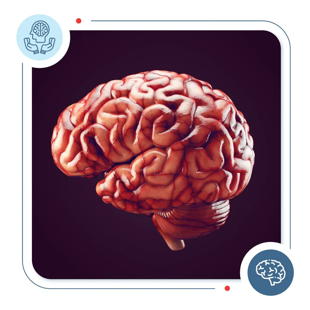 Causes