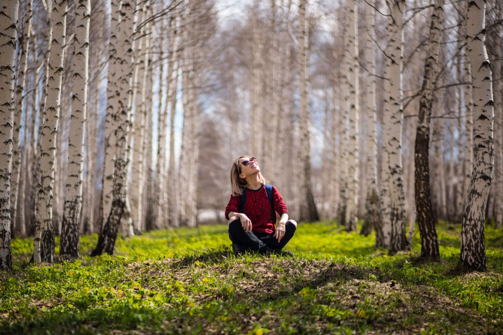 Green Healing Unraveling the Powerful Impact of Ecotherapy on Mental Health