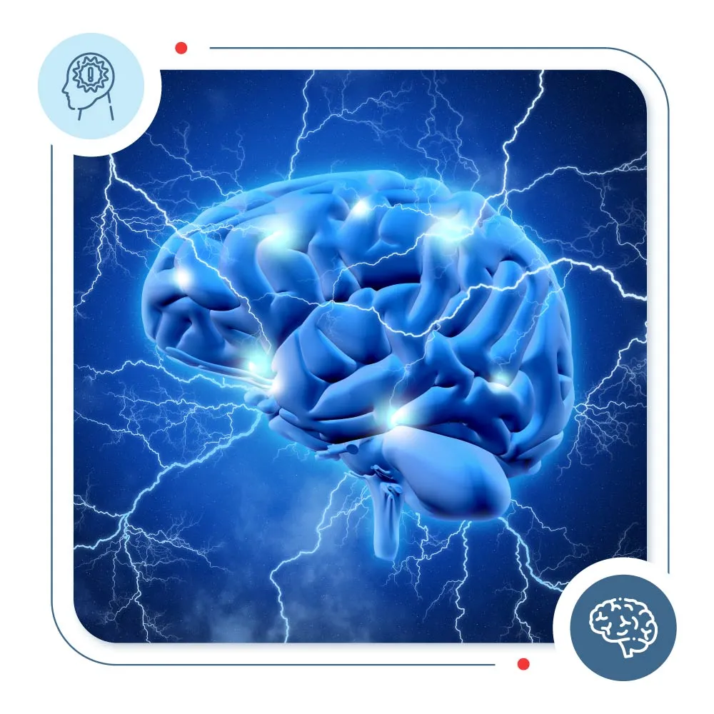 brain abnormalities